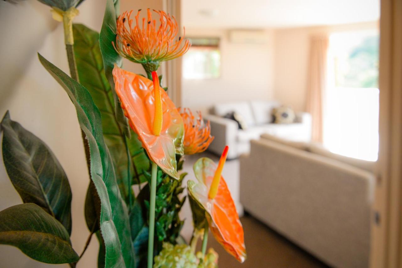 Absolute Bliss Apartments Paihia Eksteriør billede